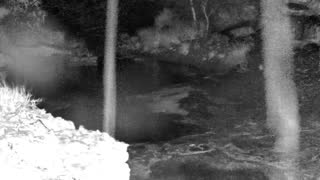 Still 1 from this detection