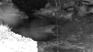 Still 1 from this detection