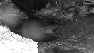 Still 1 from this detection