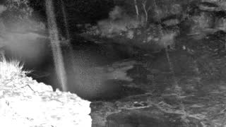 Still 1 from this detection