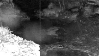 Still 1 from this detection