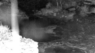 Still 1 from this detection
