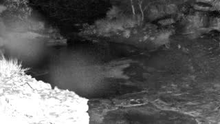 Still 1 from this detection