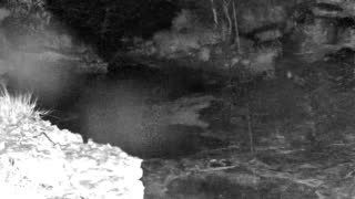 Still 1 from this detection