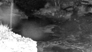 Still 1 from this detection