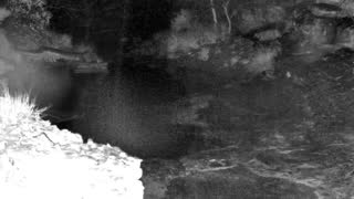 Still 1 from this detection