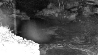 Still 1 from this detection