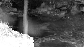 Still 1 from this detection