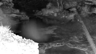 Still 1 from this detection