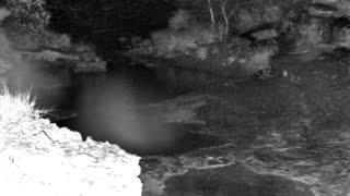 Still 1 from this detection