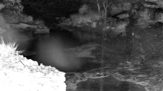 Still 1 from this detection
