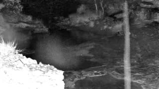 Still 1 from this detection