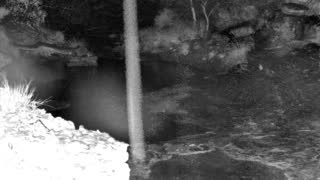 Still 1 from this detection