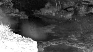 Still 1 from this detection