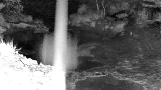 Still 1 from this detection