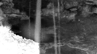 Still 1 from this detection