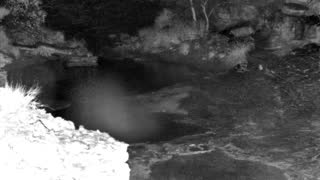 Still 1 from this detection