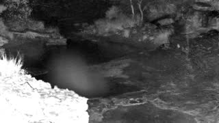 Still 1 from this detection
