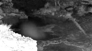Still 1 from this detection