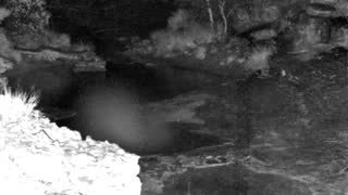 Still 1 from this detection