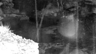 Still 1 from this detection