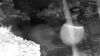 Still 1 from this detection