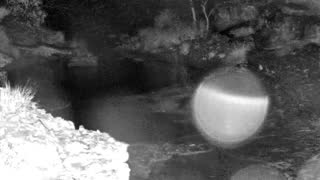 Still 1 from this detection