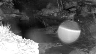 Still 1 from this detection