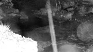 Still 1 from this detection