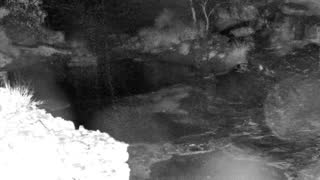 Still 1 from this detection