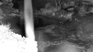 Still 1 from this detection
