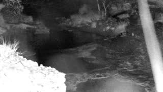 Still 1 from this detection