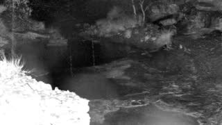 Still 1 from this detection