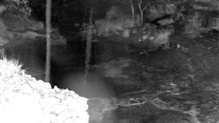 Still 1 from this detection