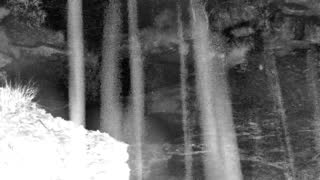 Still 1 from this detection