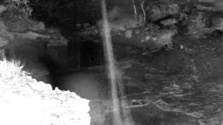 Still 1 from this detection