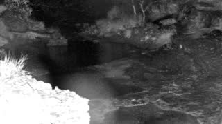 Still 1 from this detection