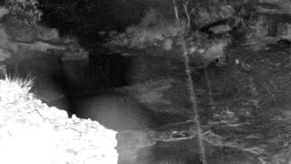 Still 1 from this detection