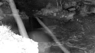Still 1 from this detection