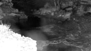 Still 1 from this detection