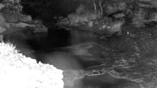 Still 1 from this detection