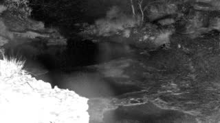 Still 1 from this detection