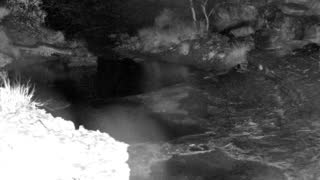 Still 1 from this detection