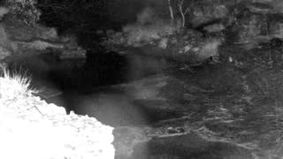 Still 1 from this detection