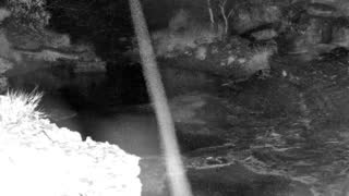 Still 1 from this detection