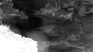Still 1 from this detection