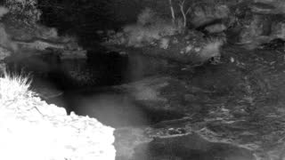 Still 1 from this detection