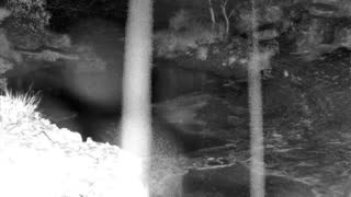 Still 1 from this detection