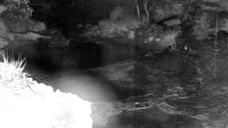 Still 1 from this detection