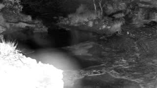Still 1 from this detection